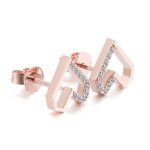 Heart Shape Design:Enchanting Round Cut Moissanite Stud Earrings