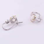 Exquisite Cushion Cut Moissanite Hoop Earrings