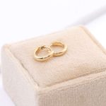 Gold Round Huggie Hoop Earrings