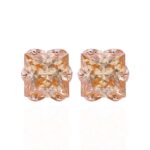 *Magnificent VVS Moissanite Princess Cut Stud Earrings
