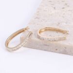 *Round Cut Moissanite Hoop Earrings - Image 2