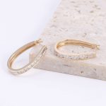 Round Cut Moissanite Hoop Earrings