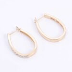 *Round Cut Moissanite Hoop Earrings - Image 3