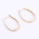 Round Cut Moissanite Hoop Earrings