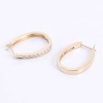 Round Cut Moissanite Hoop Earrings
