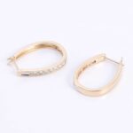 *Round Cut Moissanite Hoop Earrings - Image 4