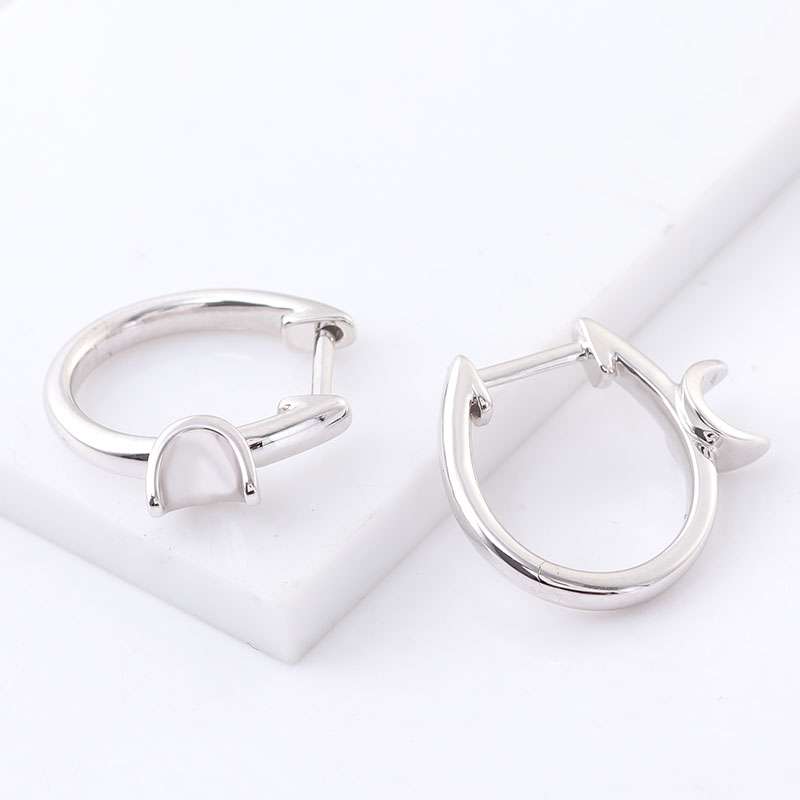 IMG_0812 *Elegant Horseshoe Design Hoop Earrings - Image 1